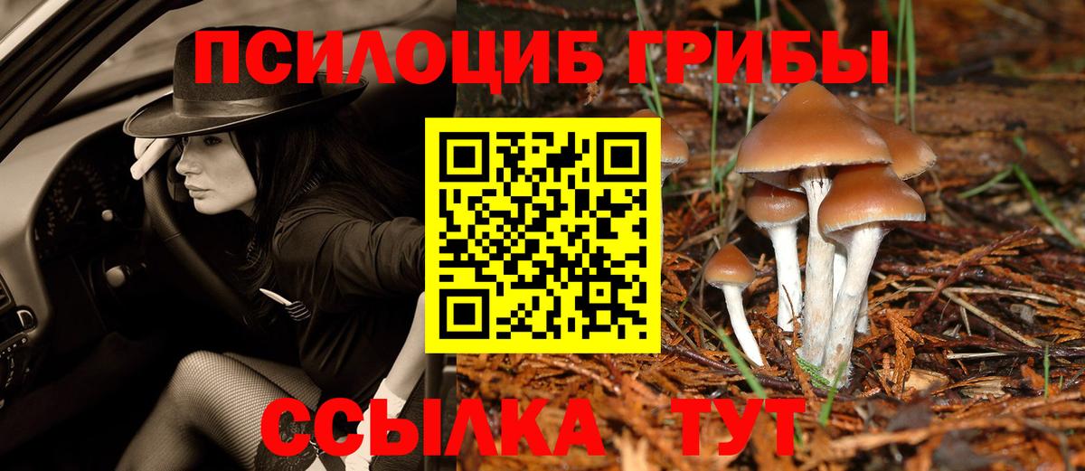 Муравленко  Псилоцибиновые грибы Psilocybine cubensis  Вход с VPN  Псилоцибиновые грибы Psilocybine cubensis 