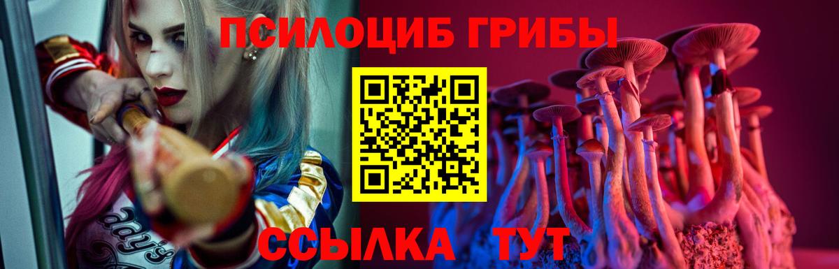 Псилоцибиновые грибы мухоморы Муравленко
